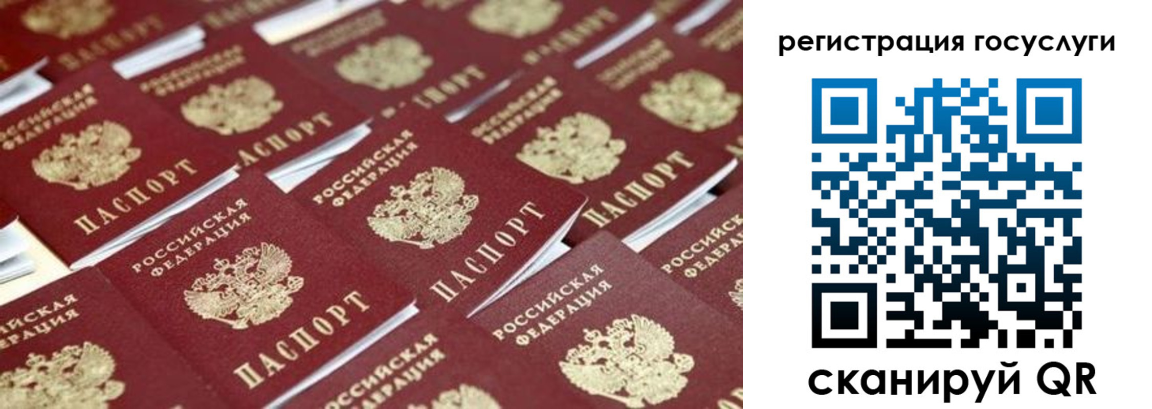 прописка ребенка в Снежногорске